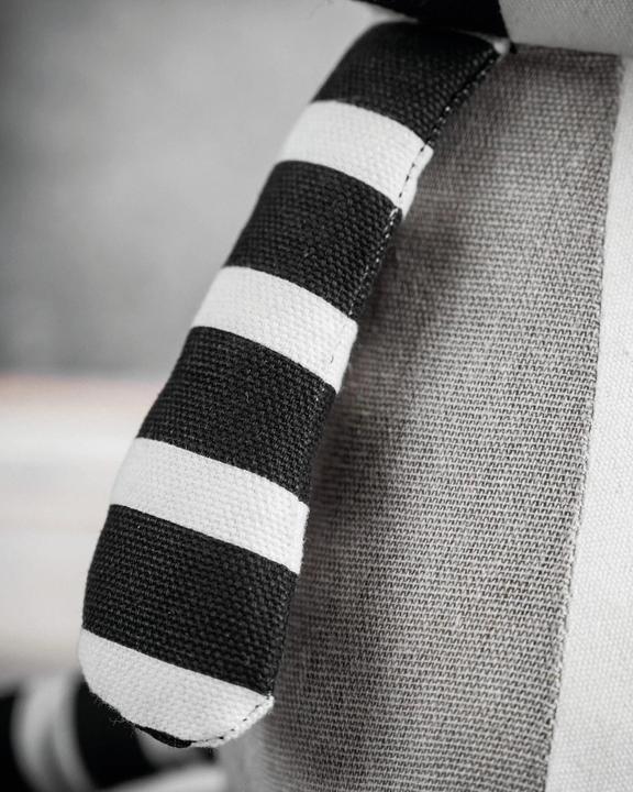 Actual product image Happy Lamps Ben the raccoon