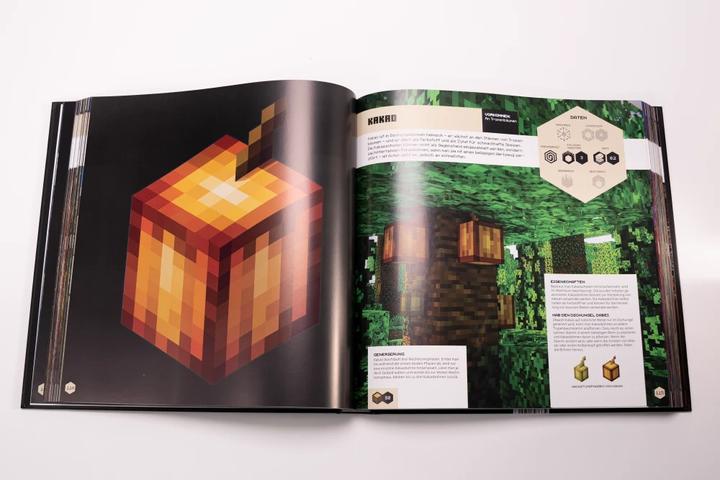 Image du produit Minecraft Blockopedia. Alles Neue über Blöcke (Allemand, Minecraft, Mojang Ab, Josef Shanel, Matthias Wissnet, 2022)