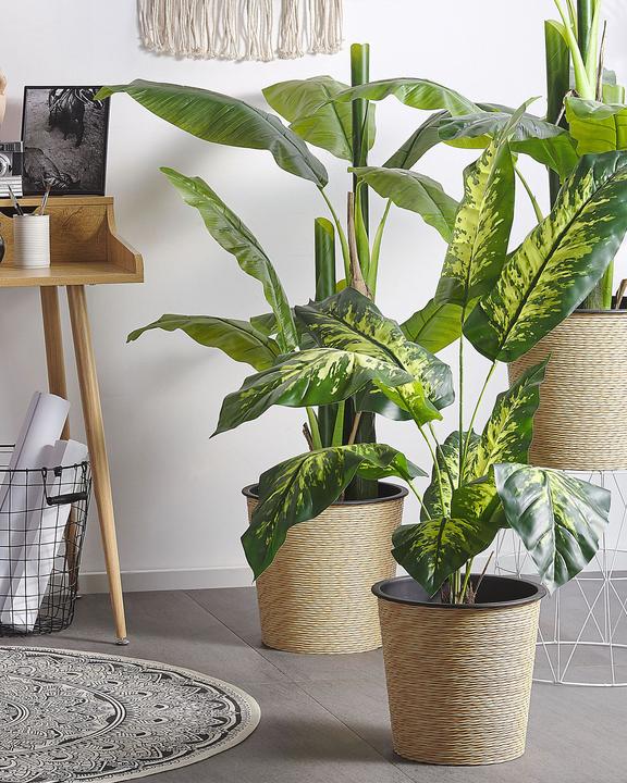 Immagine prodotto Beliani Dieffenbachia (122 cm)