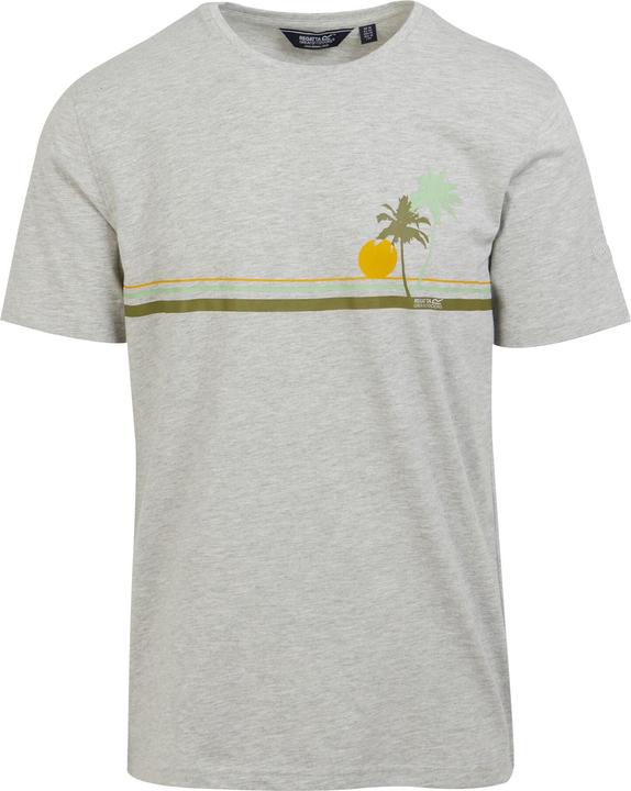 Actual product image Regatta Mens Cline VIII Sunset Marl T-Shirt (XXL)