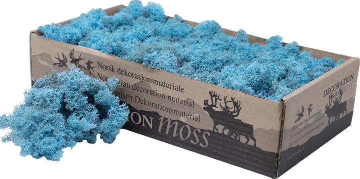 Produktbild Flowerbox Islandmoos