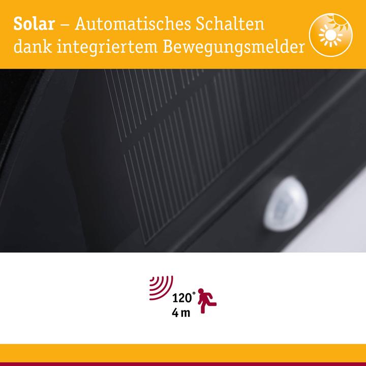 Actual product image Paulmann Solar Wall Light Eloise (100 lm, IP44)