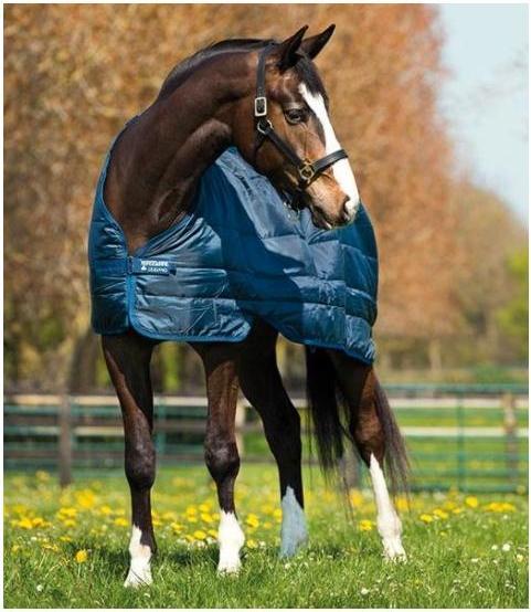 Produktbild Horseware liner 200gr navy silver (160 cm)