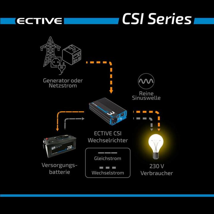 Actual product image Ective CSI 20 Sine wave inverter 2000W 24V