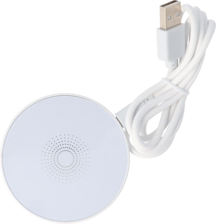 Image du produit AccuCell Induktionsladegerät (5 W)
