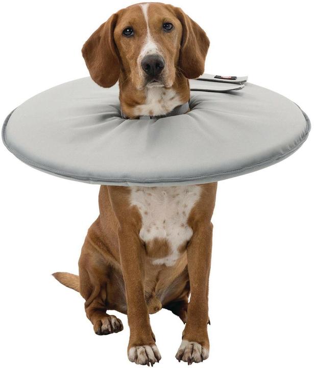 Actual product image Trixie Katryna