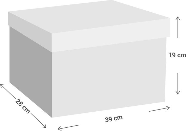 Produktbild Storage Solutions 4er-Set Faltbare Stoff Aufbewahrungsbox mit Deckel, Grau, 39x28x19cm (28 cm, 4x)