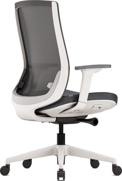 Actual product image ofinto Ergo