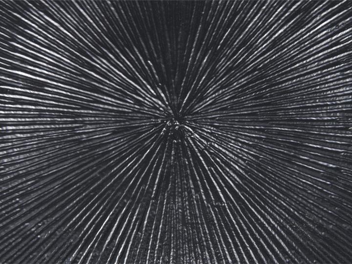 Image du produit Beliani Selwyn