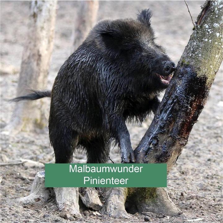 Produktbild Wildlutscher Pinienteer