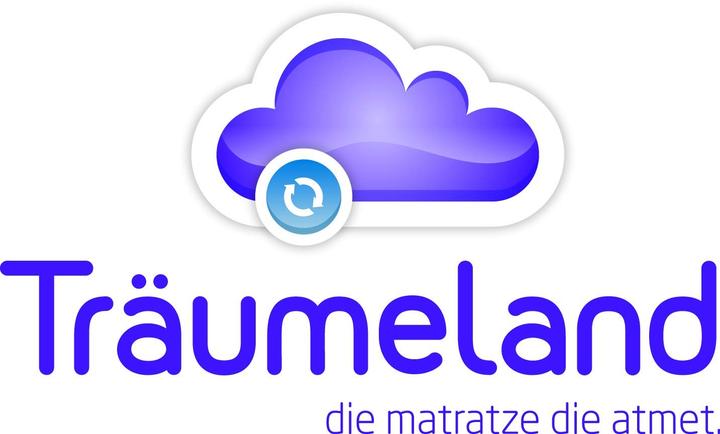 Produktbild Träumeland Daunentraum (100 x 135 cm)