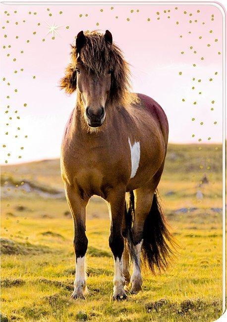 Produktbild Notizhefte - Pferdefreunde - DIN A5 (A5)