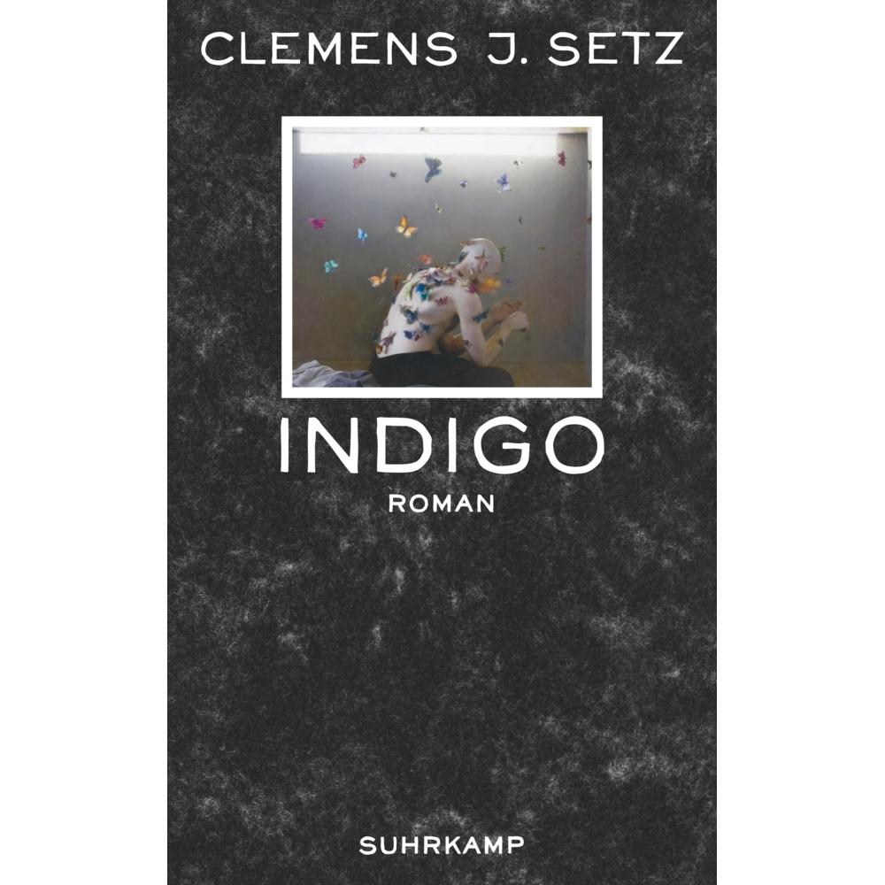 Indigo, Belletristik von Clemens J. Setz