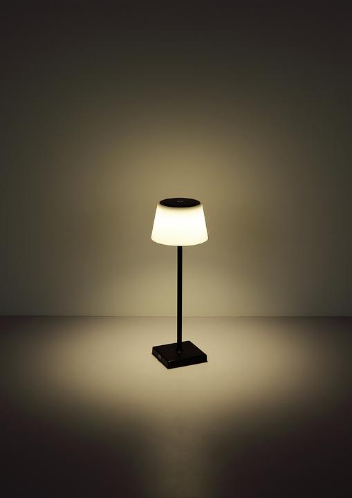 Image du produit Globo Gregoir (310 lm)