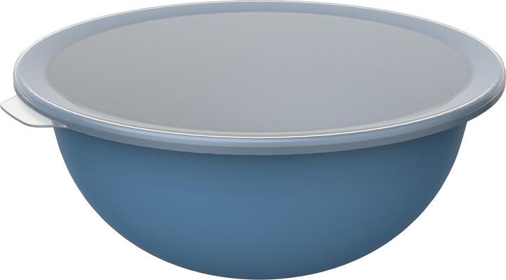 Immagine prodotto Rotho Caruba (30.50 cm, 4.80 l, 1 x)