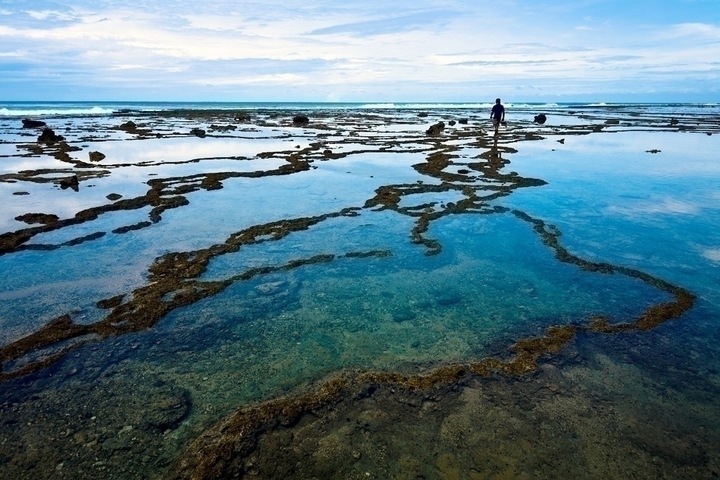 Produktbild Zeiss Zirkular (72 mm, Polarisationsfilter)