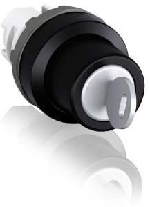 Actual product image ABB Lock switch