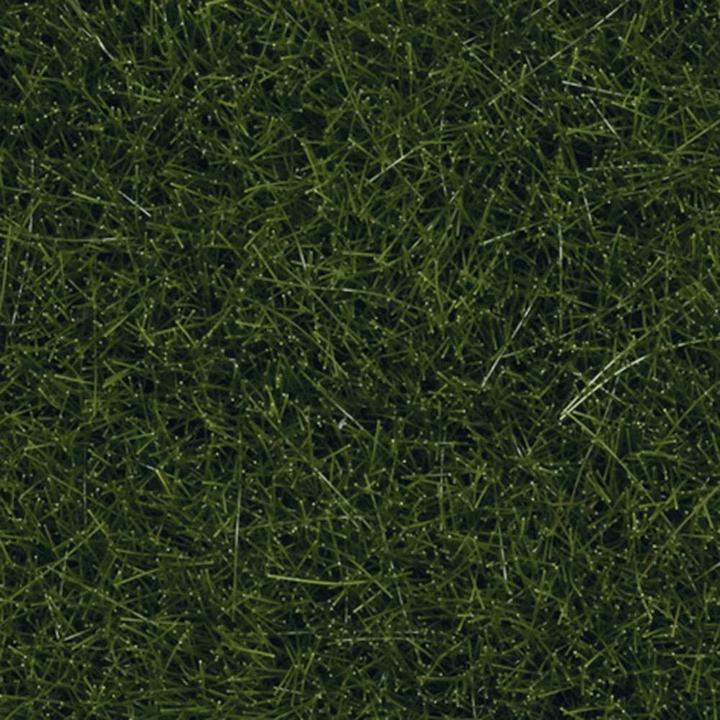 Actual product image Noch Wild grass XL 07116 Dark green