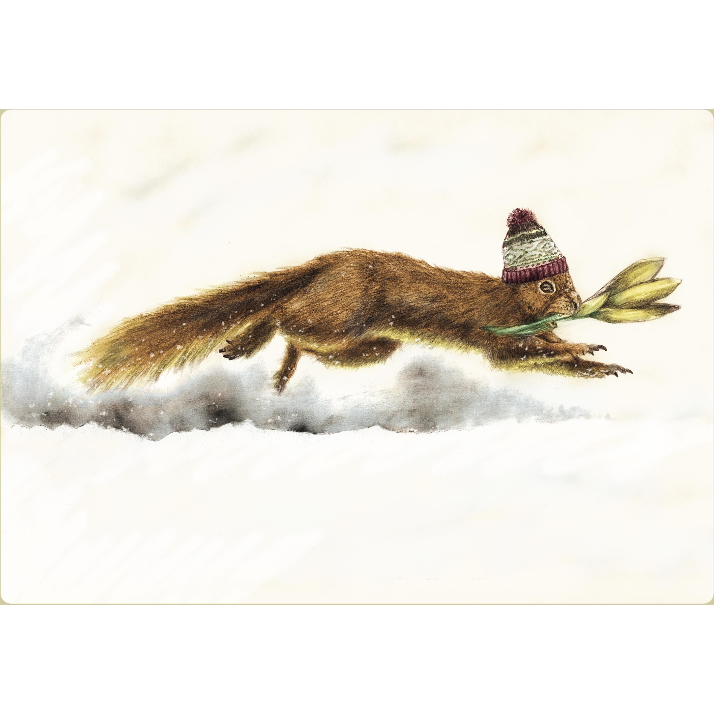 Thumbnail - Auf der Suche nach dem Schneemann, Kinderbücher von Thierry Dedieu