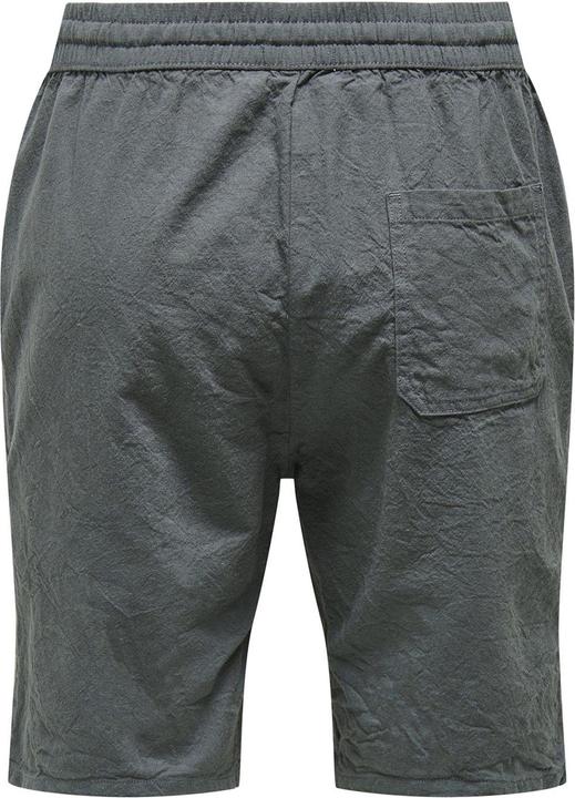 Image du produit Only & Sons ONSLIVE 0007 COT LIN SHORTS (L)