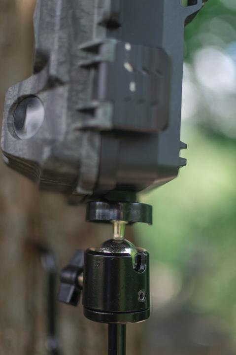 Actual product image Braun Photo BRAUN Tree Screw for Game Cameras 1/4"