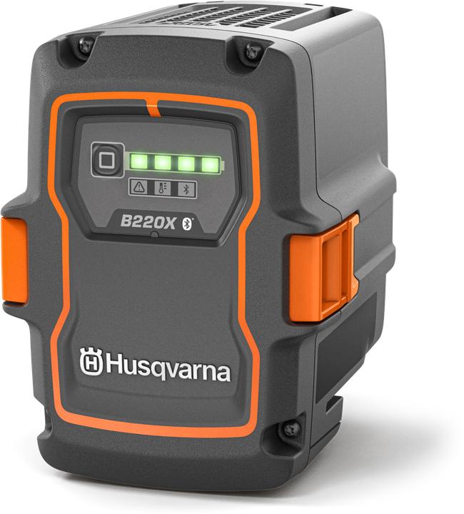 Batteria + Caricatore