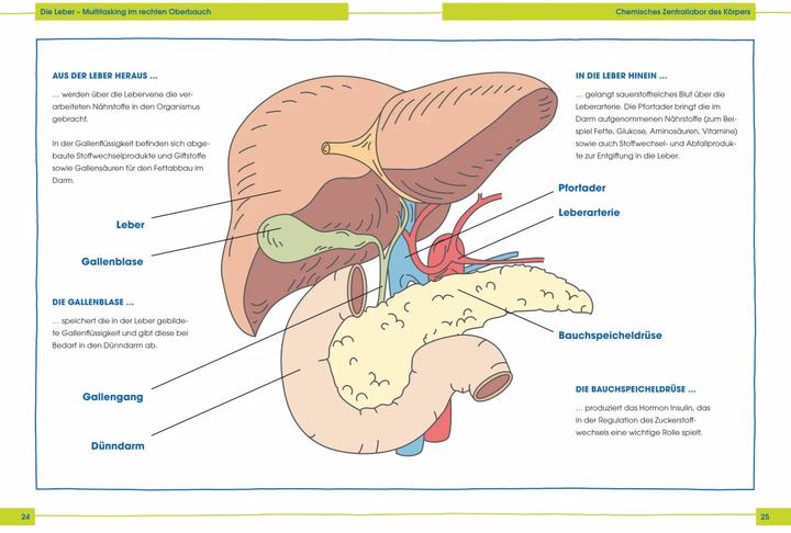 Produktbild So kriegt die Leber ihr Fett weg! (Deutsch, Julia Seiderer-Nack, 2016)