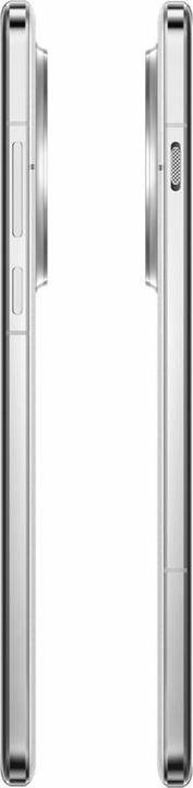 Produktbild OnePlus 13 (512 GB, Arctic Dawn, 6.82", Dual SIM, 5G)