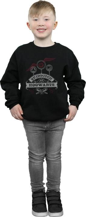 Produktbild Quidditch At Hogwarts Sweatshirt Jungen (116)