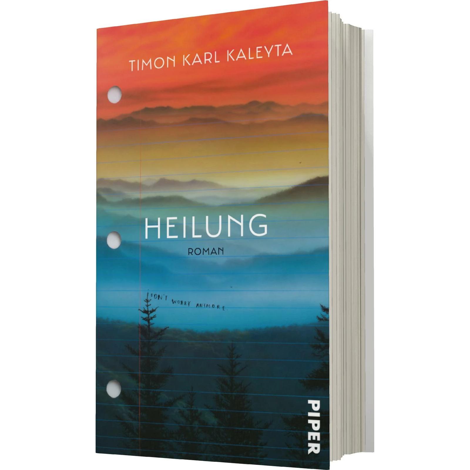 Heilung, Belletristik von Timon Karl Kaleyta
