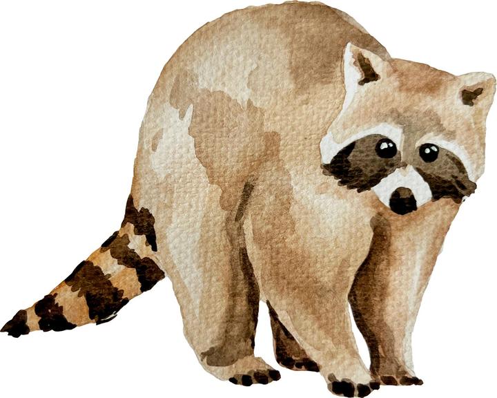 Image du produit Topp Watercolor - La merveilleuse boîte créative. Avec livre d'instructions et matériel