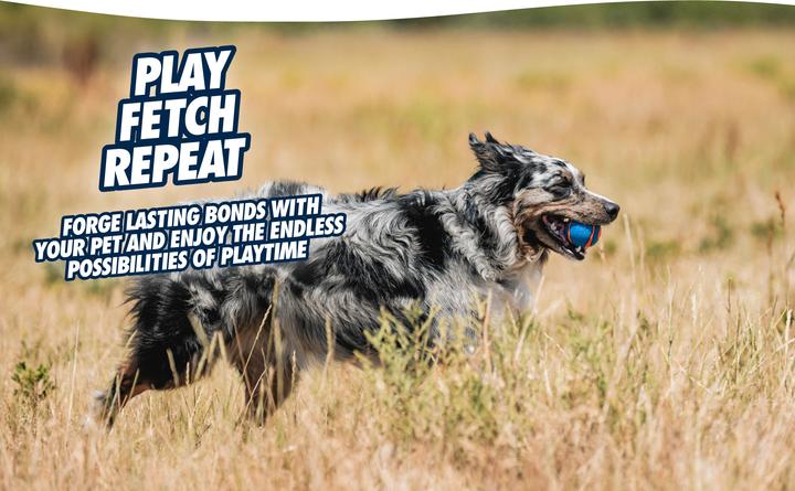 Immagine prodotto Chuckit! Ultra Squeaker Bal (Gioco da masticare per cani)