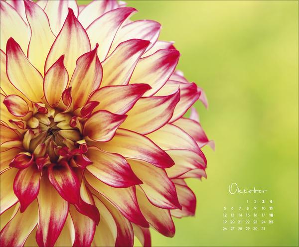 Produktbild FloralArt2026 (Querformat)