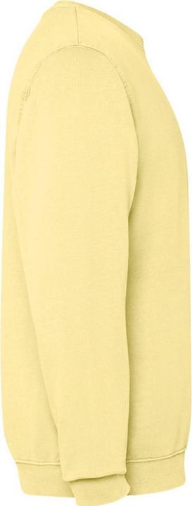 Produktbild Alpinia Jaya Sweatshirt Rundhalsausschnitt (L)