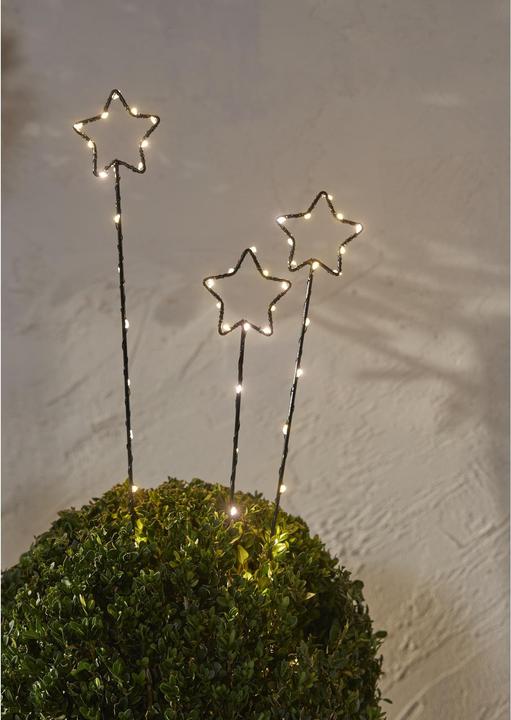 Actual product image Star Trading Wizard