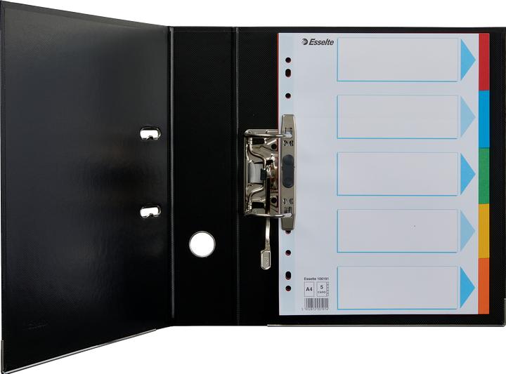 Produktbild Esselte Register Karton