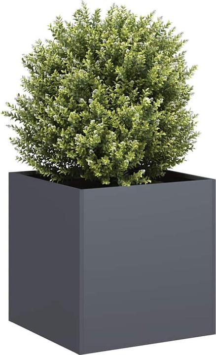 Produktbild vidaXL Pflanzkübel