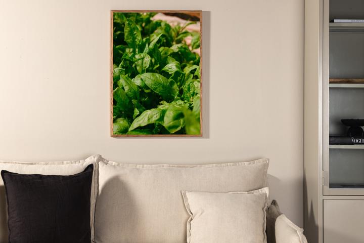 Produktbild Venture Home Gree leaf (70 x 100 cm)