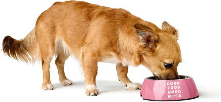 Produktbild Hunter Futternapf Für Hunde Chester Rosa 160 Ml (16 cl)