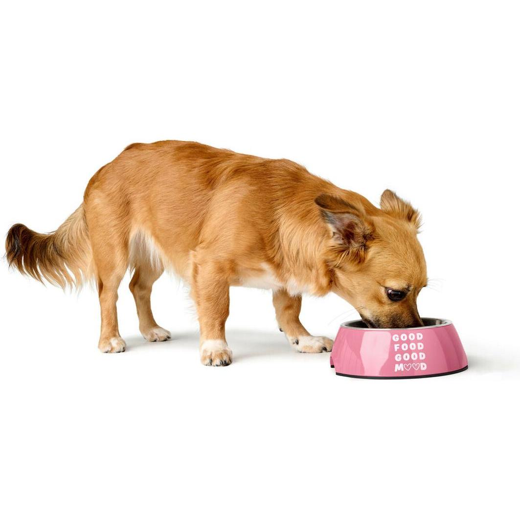 Mangeoire pour chiens Hunter CHESTER Rose 700 ml