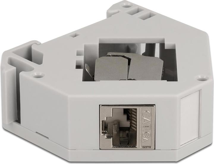 Image du produit Delock Hutschienenhalter mit Keystone Modul RJ45 Buchse Cat.6A LSA (Support de module Keystone)