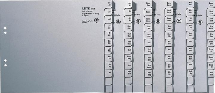 Actual product image Leitz Register paper gray