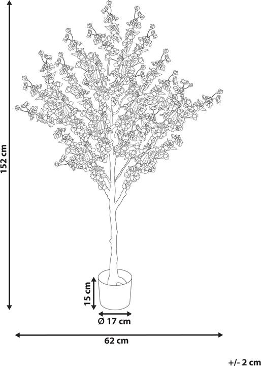 Immagine prodotto Beliani Cherry Tree (152 cm)