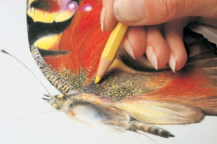 Produktbild Caran d'Ache Prismalo Aquarelle (Braun, 1 x)