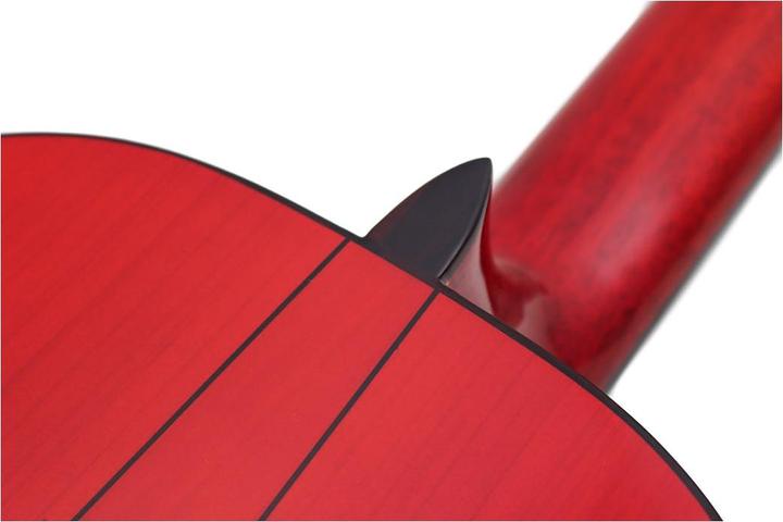 Actual product image Esteve Gipsy Kings by André Reyes (Classical guitar, Cedar wood, Ebony, Rosewood, Spruce)