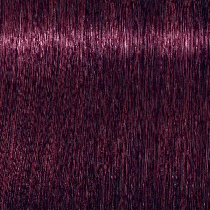 Image du produit Schwarzkopf Igora Vibrance - 6-99 Blond foncé Violet Extra (6-99 Blond foncé violet foncé extra violet)