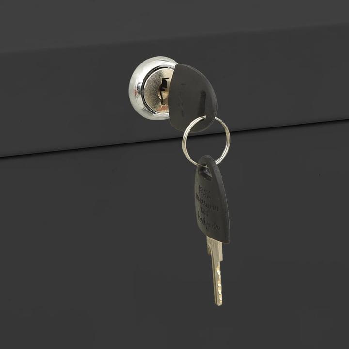 Actual product image vidaXL Büroschrank (90 x 46 x 134 cm)