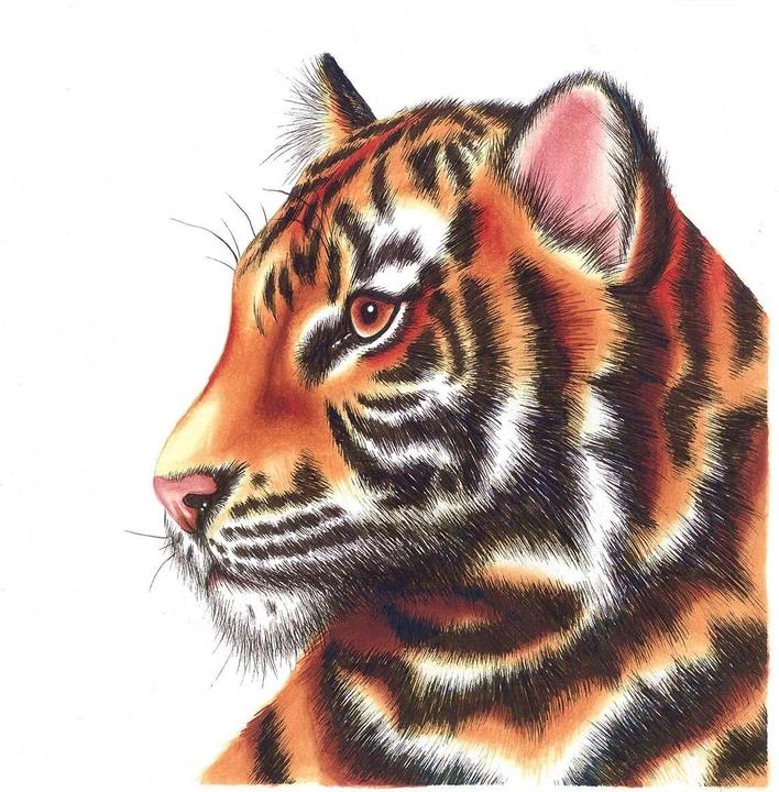 Produktbild Chameleon Aquarellfarbstifte Brushpen Color & Blending Set (6x)