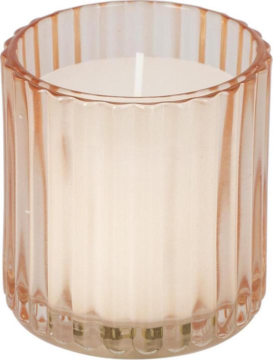 Immagine prodotto Citronella (1 pz.)