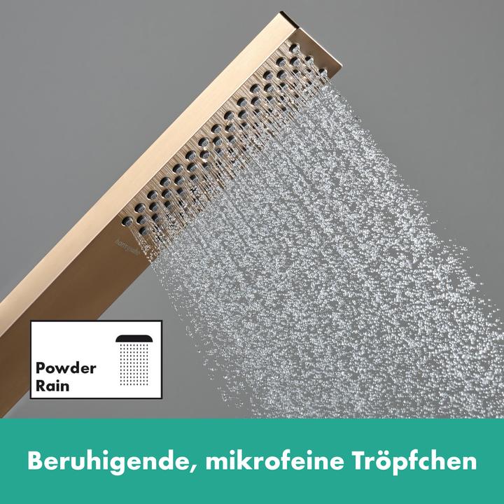 Produktbild hansgrohe Pulsify E Stabhandbrause 100, 1 Strahlart EcoSmart, 24320 (1 Strahlarten, 8 l/min)